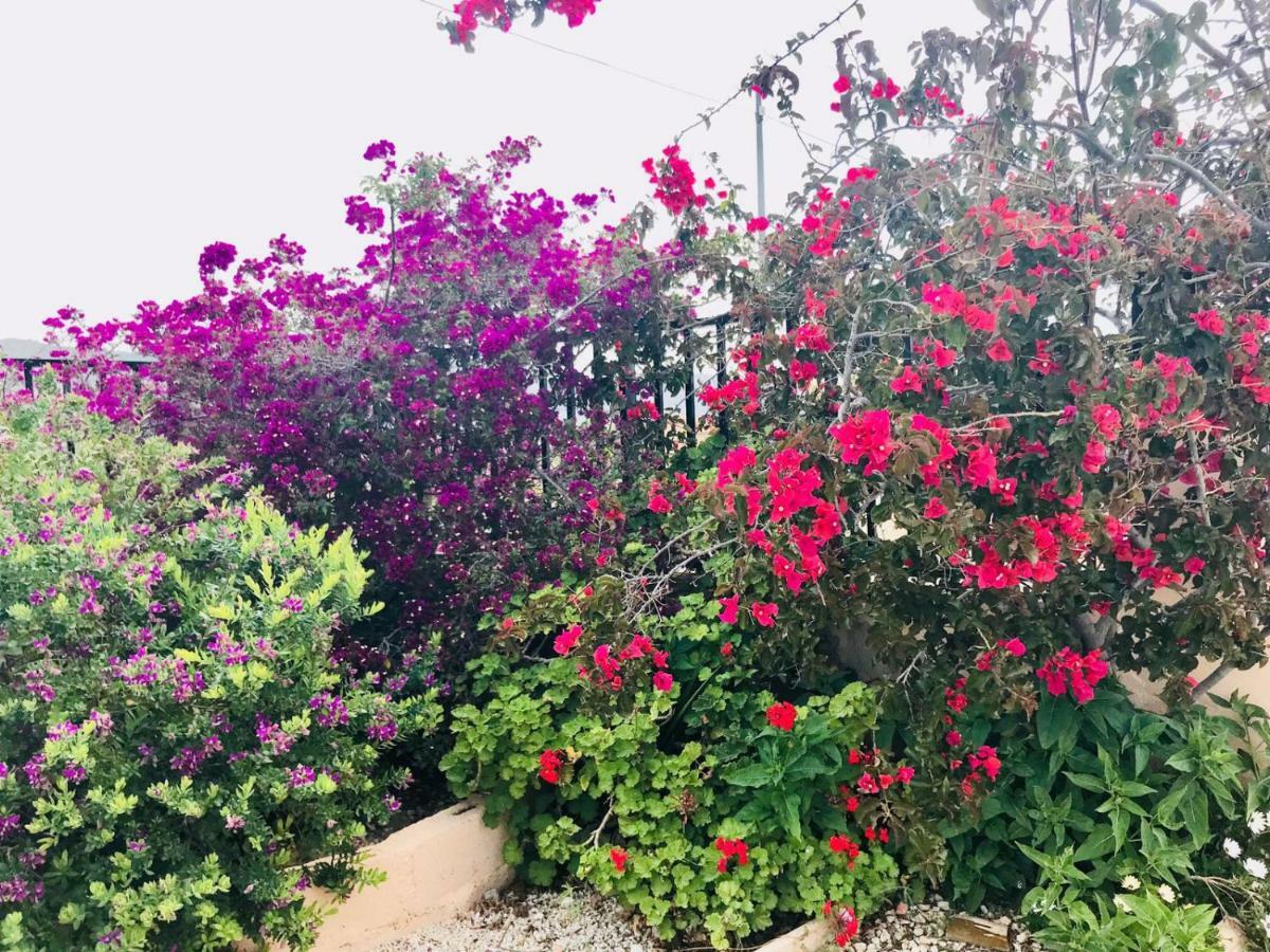 Casa Fletch Bed & Breakfast El Salado ภายนอก รูปภาพ